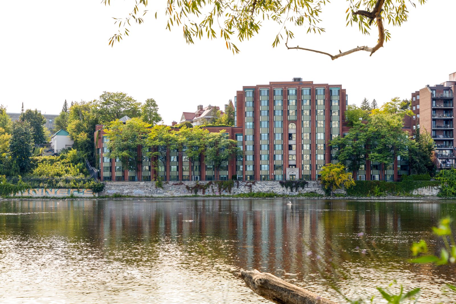 One Bedroom Apartment 20